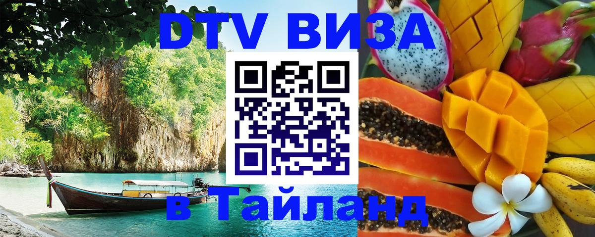 Сколько стоит DTV виза — актуальные цены, оформление даже без документов - 21.11.2025 